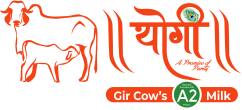 Yogi Milk Logo